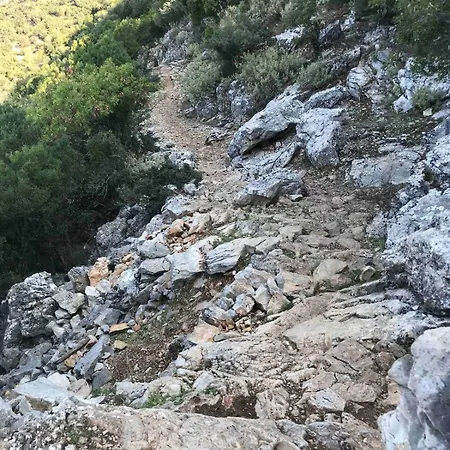 Ilk Ayvilla2 Villa *